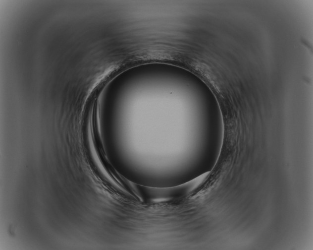 X0000091980395200709131416