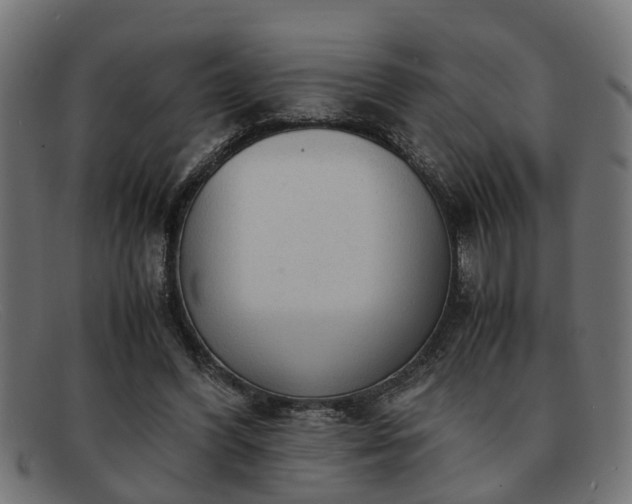 X0000091980396200709131416