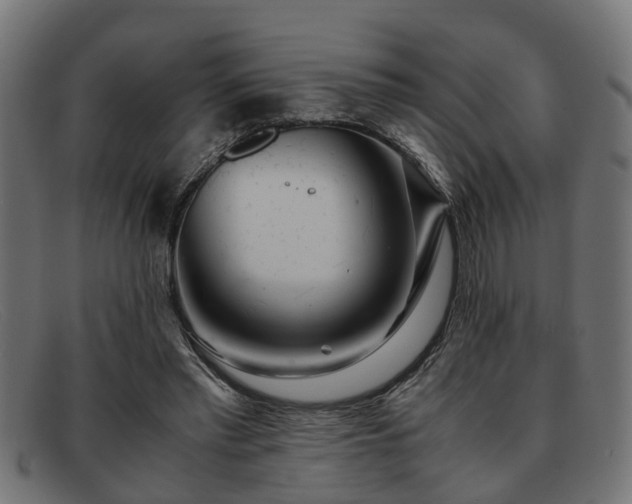 X0000091980397200709131416