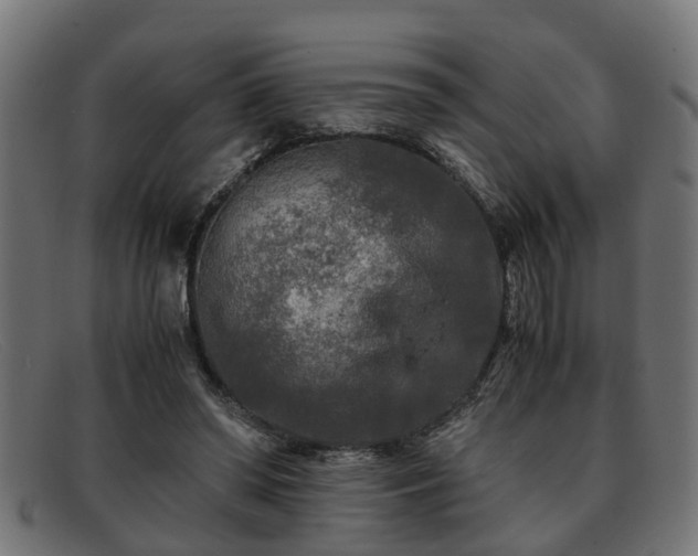 X0000091980398200709131416