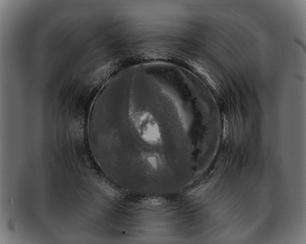 X0000091980402200709131416