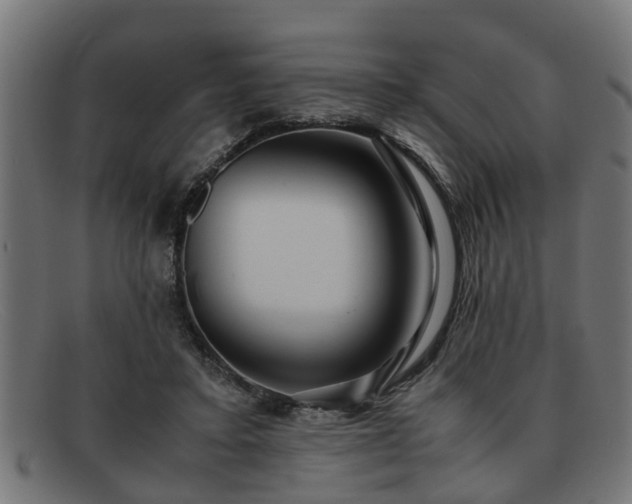 X0000091980403200709131416