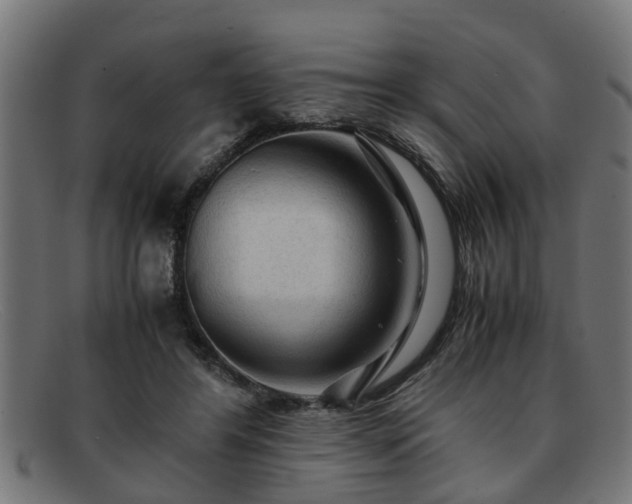 X0000091980404200709131416