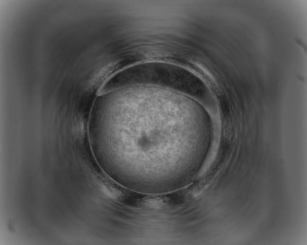 X0000091980405200709131416