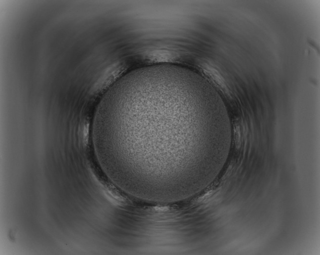 X0000091980406200709131416