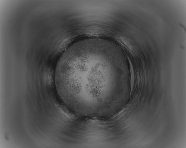 X0000091980408200709131416