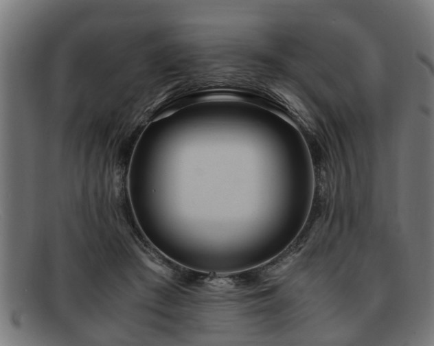 X0000091980409200709131416