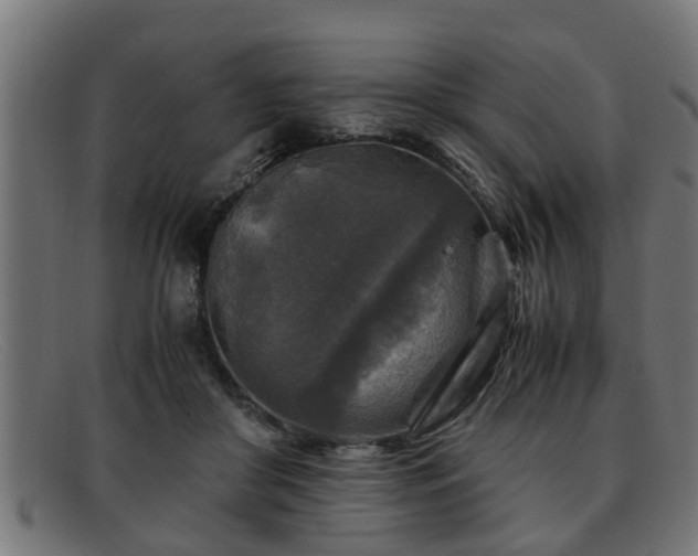 X0000091980410200709131416