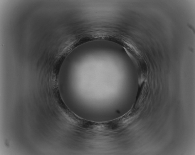 X0000091980411200709131416