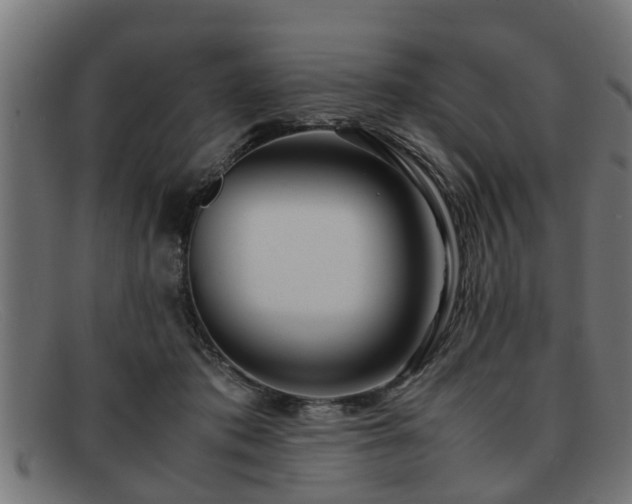 X0000091980413200709131416