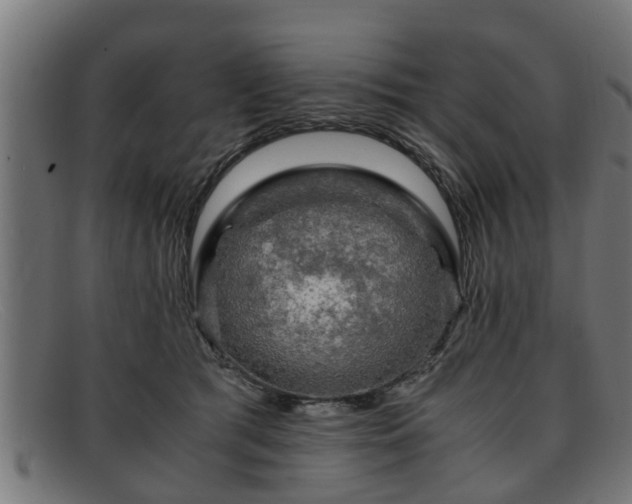 X0000091980417200709131416