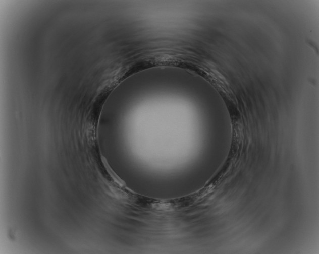 X0000091980419200709131416