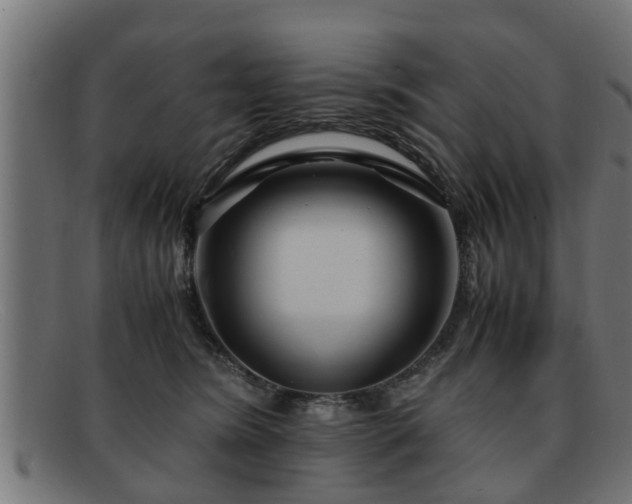 X0000091980420200709131416