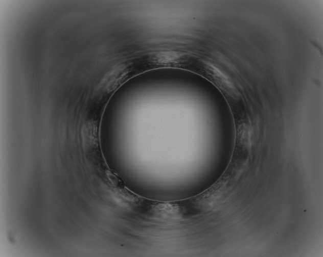 X0000091980421200709131416