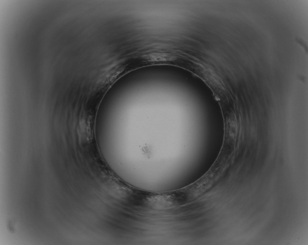 X0000091980422200709131416