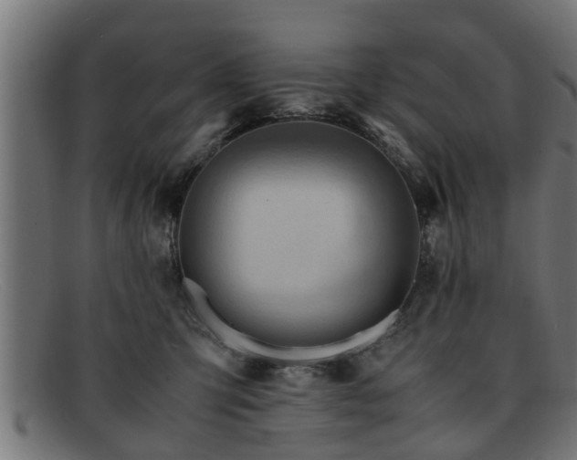 X0000091980423200709131416