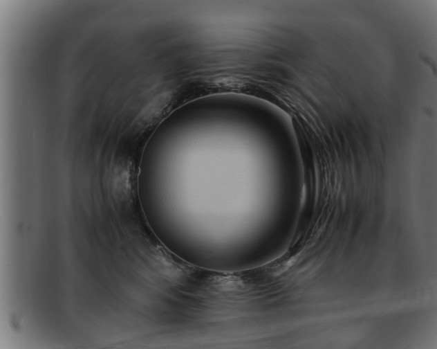 X0000091980424200709131416