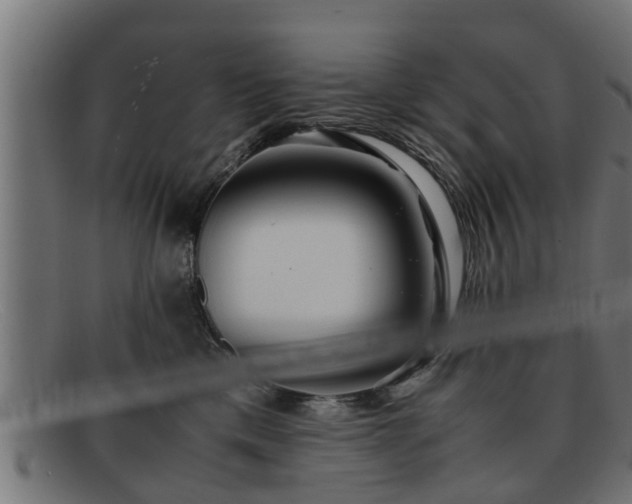 X0000091980425200709131415