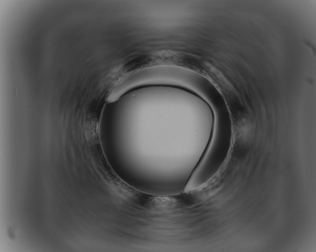 X0000091980429200709131415