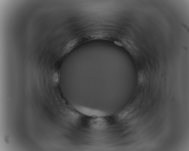 X0000091980431200709131415