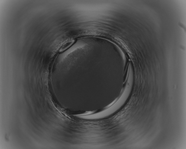 X0000091980434200709131415