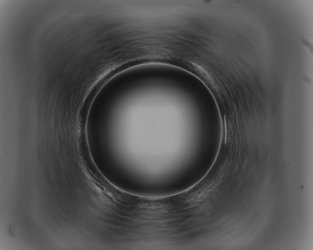 X0000091980435200709131415