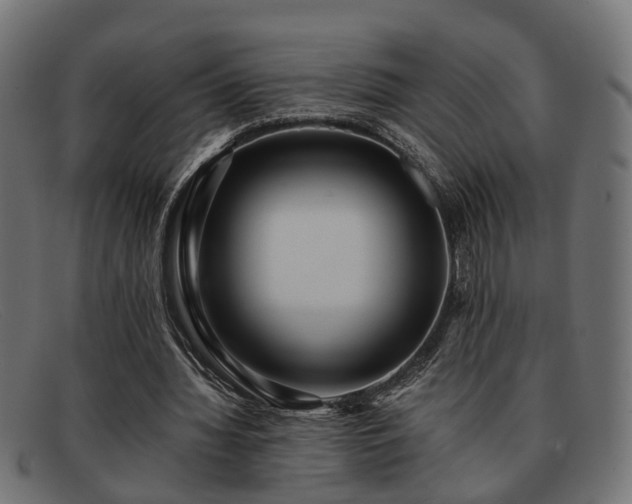 X0000091980436200709131415