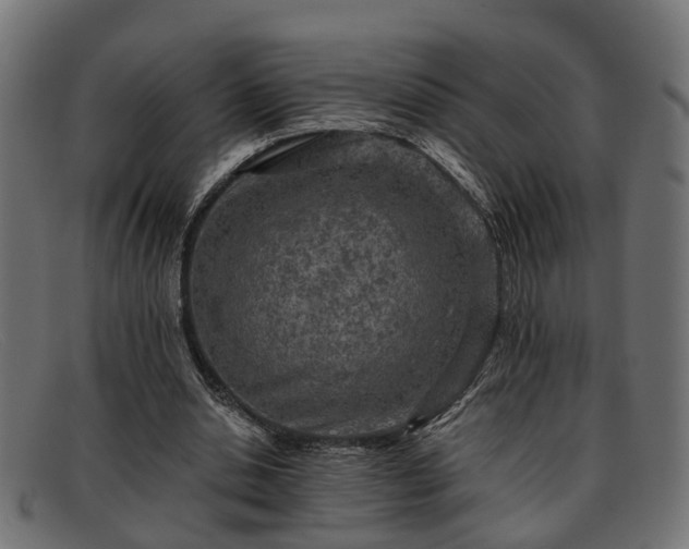 X0000091980438200709131415