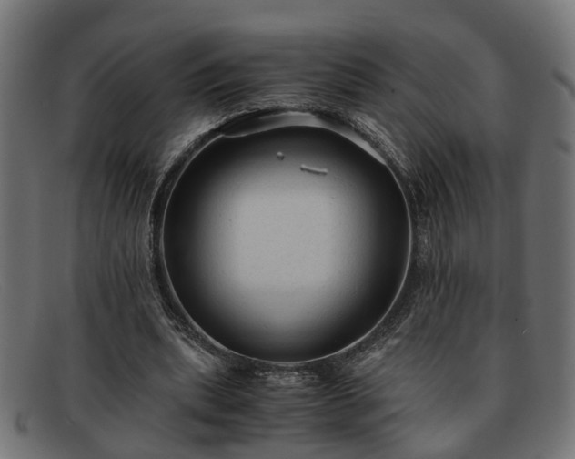 X0000091980439200709131415