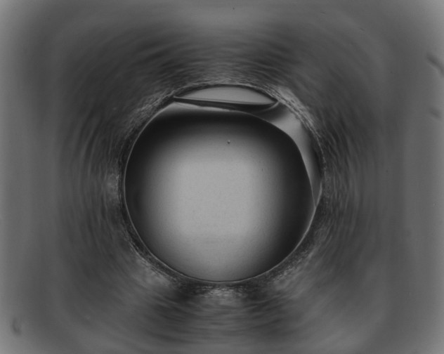 X0000091980441200709131415