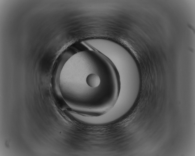 X0000091980443200709131415