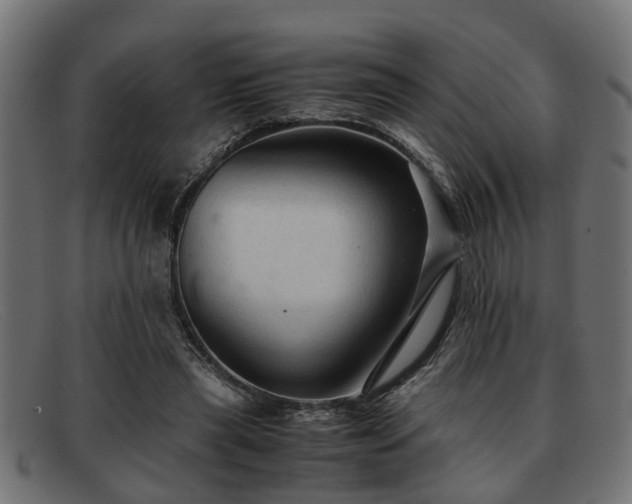 X0000091980445200709131415