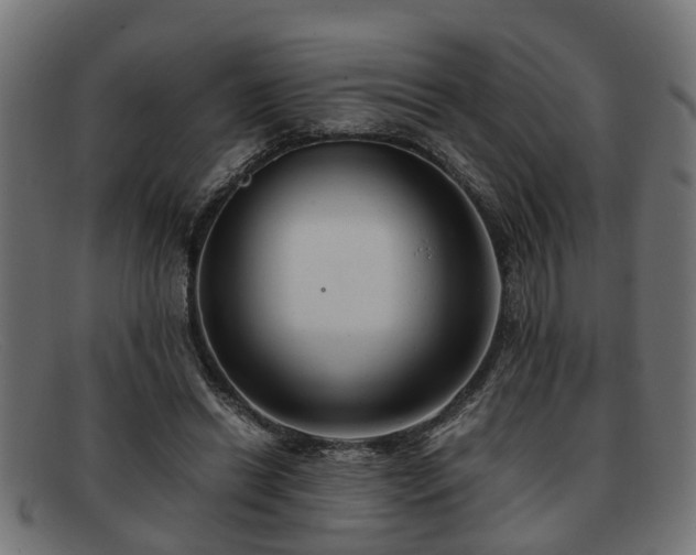 X0000091980446200709131415