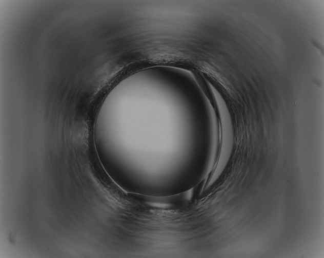 X0000091980448200709131415