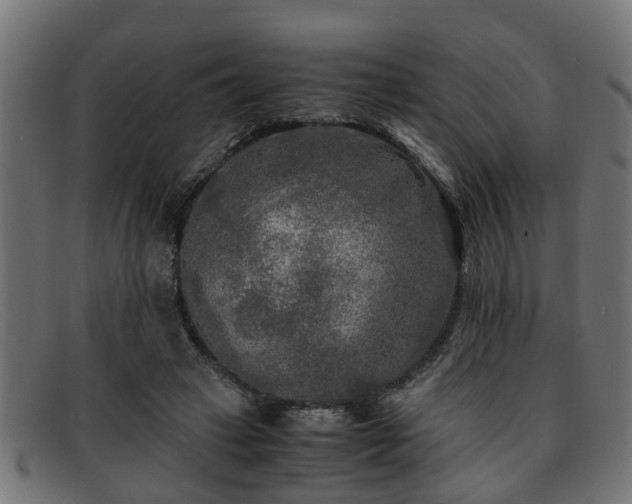 X0000091980449200709131415