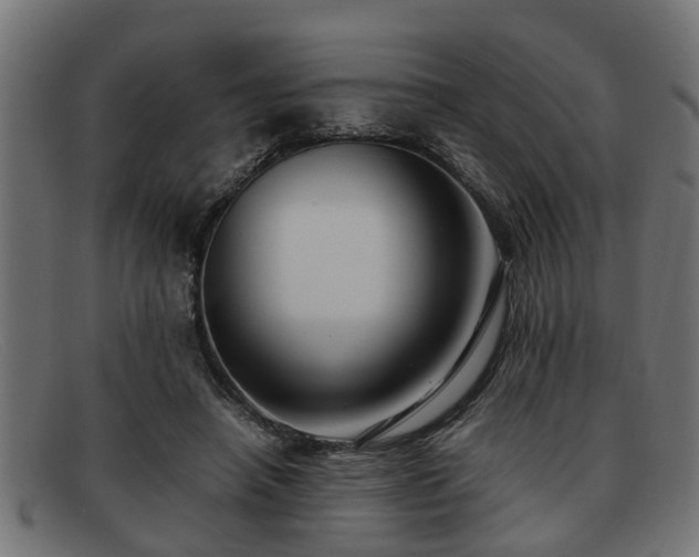 X0000091980450200709131415