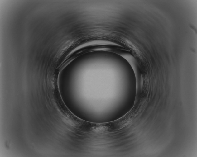 X0000091980452200709131415