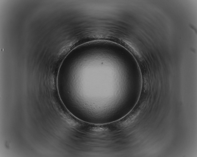 X0000091980453200709131415