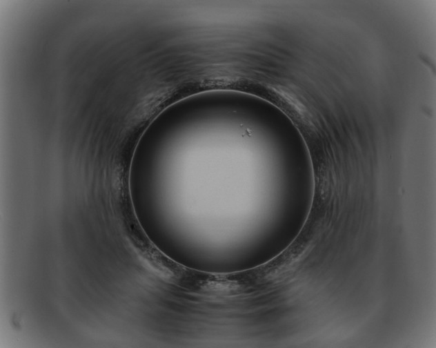 X0000091980455200709131415