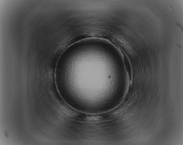 X0000091980461200709131415