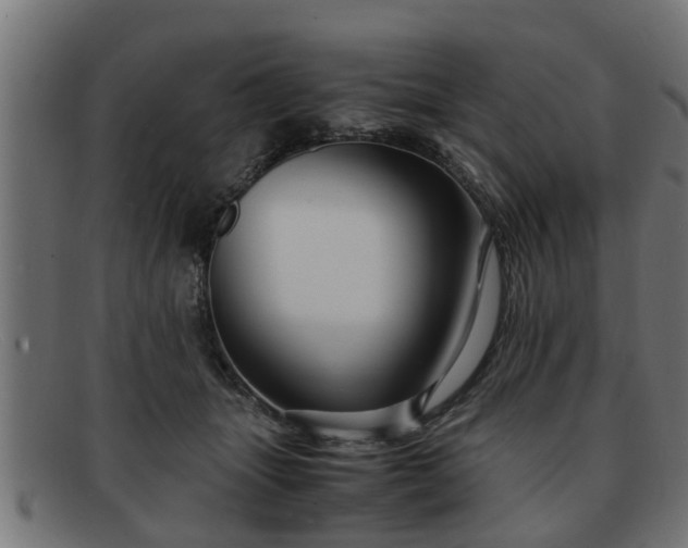 X0000091980463200709131415