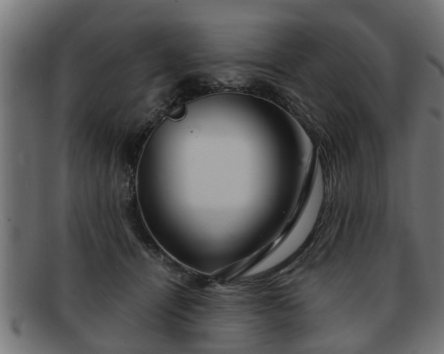 X0000091980464200709131415