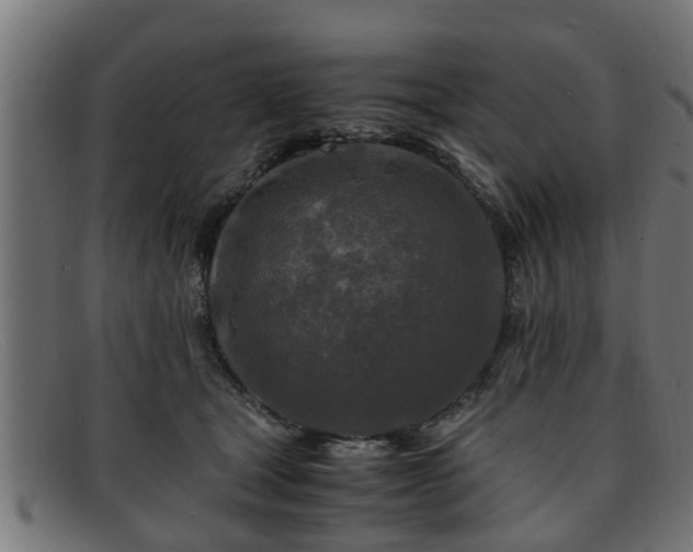 X0000091980465200709131415