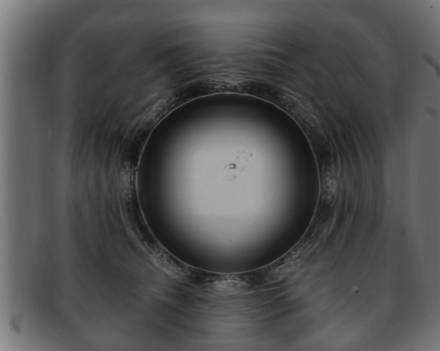 X0000091980468200709131415