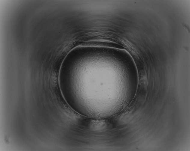 X0000091980469200709131415