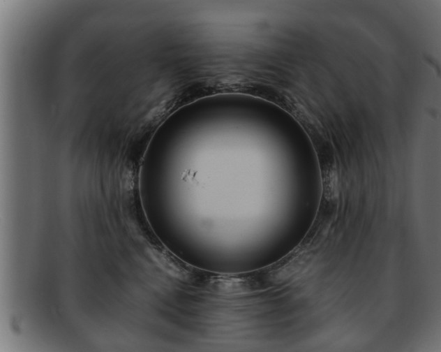 X0000091980472200709131415