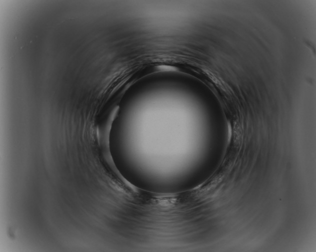 X0000091980474200709131415