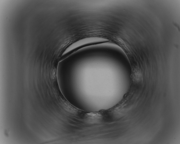 X0000091980477200709131415