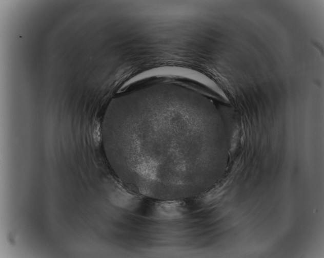 X0000091980479200709131415