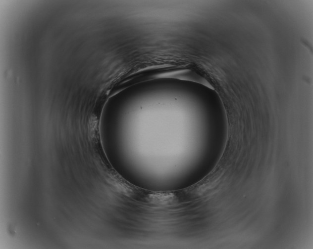 X0000091980480200709131415